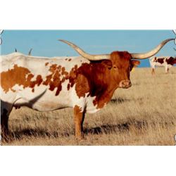 ECR STAMP OF APPROVAL