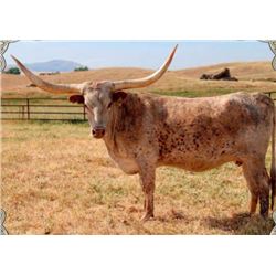 COMMANDERS CHARM EOT