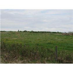 (Home Quarter)  County of St. Paul  SE 28-55-8-W4 : 160 Acres +/-