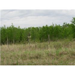 NW 21-55-8-W4: 139.44 Acres +/-