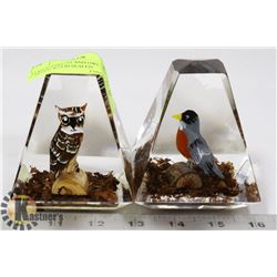 VERIED THRUSH AND OWL, HAND CARVED WOOD SEALED