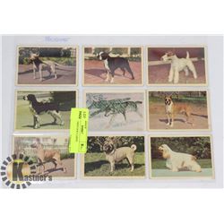 SHEET OF 1960'S DOG CARDS