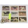 Image 1 : SHEET OF 1960'S DOG CARDS