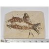 Image 1 : LARGE ANCIENT FOSSIL FISH IN MATRIX