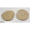 Image 1 : PAIR OF ANCIENT FOSSIL FISH BONES