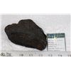 Image 1 : HUGE AUSTRALASIAN TEKTITE METEORITE