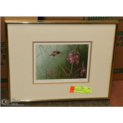 ART PRINT- "RUFOUS HUMMINGBIRD" BY ARTIST D. LEG