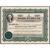 Image 1 : Chitna-Kuskulana Copper Company of Alaska, 1917 I/U Stock