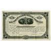 Image 1 : South Pacific Mining Co. 1882 Stock Certificate Rarity