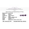 Image 3 : 20.18 ctw.Natural Pear Cut Amethyst Parcel of Three