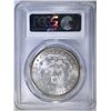 Image 4 : 1904 MORGAN DOLLAR  PCGS MS-64