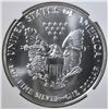 Image 3 : 1993  AMERICAN SILVER EAGLE NGC MS-69