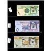 Image 7 : World Banknote Lot;  Lot of approx 20 notes Arab States.  See images.