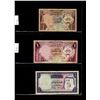 Image 1 : World Banknote Lot;  Lot of approx 19 notes from various Arab States.  See images.