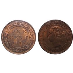 1896 1¢ ICCS Choice Mint State-63RD.  Orange red tints.