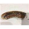 Image 2 : Case of Garlic Sausage Coils