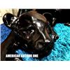 Image 2 : 132cm Black Panther / Glass Table