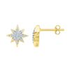 Image 1 : 1/10 CTW Round Diamond Starburst Screwback Earrings 10kt Yellow Gold - REF-11T9K