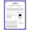 Image 2 : Genuine 3.6 ctw Amethyst Ring 14KT White Gold - REF-34V7W