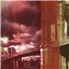 Image 2 : Steve Kaufman (1960-2010), "I Love Brooklyn" Limited Edition Hand Pulled Silkscreen on Canvas, Numbe