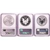 Image 2 : 20th Anniversary Set of 2006 $1 American Silver Eagle Coins NGC Graded