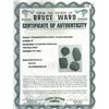 Image 3 : Mexico City, Mexico, cob 8 reales "greenie" (encrusted as found), Philip V, assayer not visible, ex-