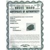 Image 3 : Mexico City, Mexico, cob 8 reales "greenie" (encrusted as found), Philip V, assayer not visible, ex-