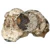Image 1 : Encrusted clump of nine Dutch East India Co. copper duits (probably all Zeeland, 1752), as found.