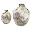 Image 2 : Intact earthenware "olive" jar, encrusted as found, ex-Yucatan wreck.