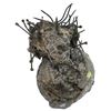 Image 1 : Conglomerate of a pewter screw cap for a bottle with many brass pins, ex-Santo Christo de Castello (