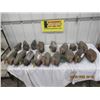 Image 1 : 17 Items - 13 Floating Duck Decoys, 4 Floating Diving Duck Decoys