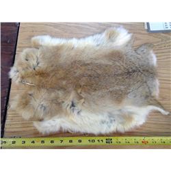 JUMBO RABBIT BROWN