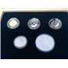 Image 2 : 2010 - 92.5 SILVER LIMITED EDITION PROOF SET WITH MAPLE WOOD CASE