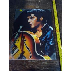 ELVIS HOLOGRAM PICTURE