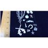 Image 3 : BOX OF CHARMS AND CHAIN