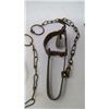 Image 3 : ANIMAL TRAPS