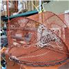 Image 2 : FISHING TRAP