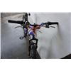 Image 2 : BLUE RED CCM BIKE