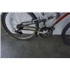 Image 3 : GREY NAKAMURA BIKE