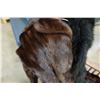 Image 3 : MINK COAT, SHAWL, PURSE, AND HAT