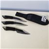 Image 1 : 3 THROWING KNIVES IN SHEATH