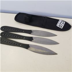 3 THROWING KNIVES IN SHEATH