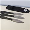Image 1 : 3 THROWING KNIVES IN SHEATH