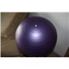Image 3 : Purple Yoga Ball