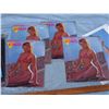 Image 3 : 8 Pin Up Girls Calendars