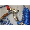 Image 2 : 3 Lead Ropes