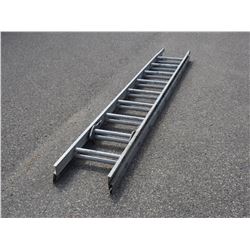 20ft Aluminum Extension Ladder
