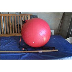 Exercise Ball
