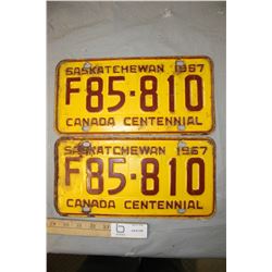 Pair of 1967 License Plates