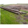 Image 3 : 12 Power Poles of Various Sizes